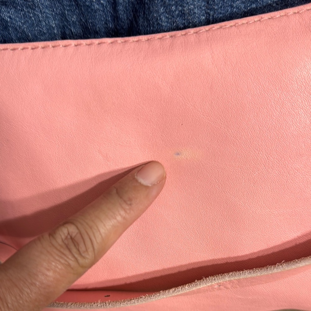 Madewell Leather Carabiner Crossbody Sling Bag in Dried Blossom. Barely used! - Picture 7 of 13